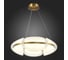 Подвесная люстра ST LUCE ETOILE SL1304.203.45 4
