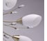 Люстра MW LIGHT 356015308 Нежность 8*60W E14 220 V 2