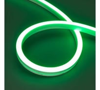 Герметичная лента Arlight MOONLIGHT-SIDE-A140-12x17mm 24V Green, Вывод к 5м 038800