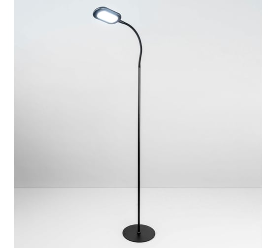 Торшер Citilux Леон Черный CL804041