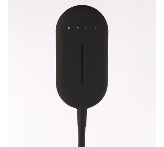 Торшер Citilux Леон Черный CL804041