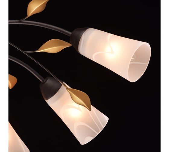 Люстра MW LIGHT 242015410 Восторг 10*60W E14 220 V