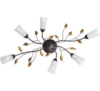 Люстра MW LIGHT 242015206 Восторг 6*60W E14 220 V