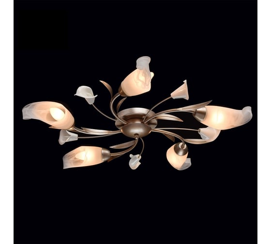 Люстра MW LIGHT 242016205 Восторг 5*60W E14 220 V
