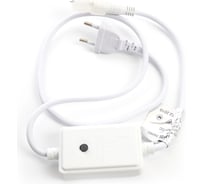 Контроллер FERON 100м 2W для дюралайта LED-R2W со светодиодами шнур 0,7м 26085