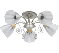 Люстра MW LIGHT 297013405 Мечта 5*40W E27 220 V