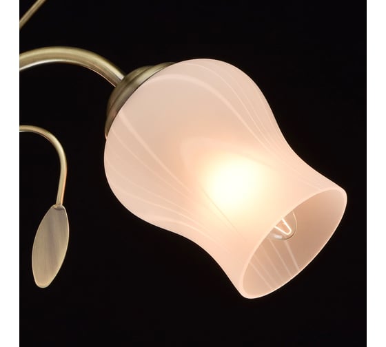 Люстра MW LIGHT 256018205 Флора 5*60W E14 220 V