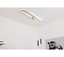 Потолочная светодиодная люстра Schaffner Trattato 2784-1+2, цвет белый/золото/черный . Люстра с пультом управления, освещение до 14 кв.м, мощность 101 Вт Trattato 2784-1+2P GD+WH+BK