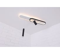 Потолочная светодиодная люстра Schaffner Trattato 2783-1+1, цвет белый/черный . Люстра с пультом управления, освещение до 12 кв.м, мощность 80 Вт Trattato 2783-1+1P WH+BK