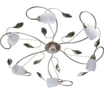 Люстра MW LIGHT 334013006 Верона 6*60W E14 220 V