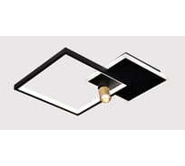 Люстра Schaffner Controllo 2740-1 BK+FGD, LED 72W+3W (56 42 13.5) IR Controllo 2740-1 BK+FGD, LED 72W+3W (56*42*13.5) IR