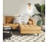 Настенный светильник ESCADA E27*40W Gold 1121/1A 3