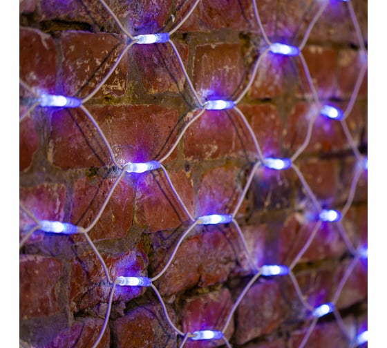 Светодиодная гирлянда NEON-NIGHT Сеть 2x3м 432 LED на белом каучуковом проводе белый и синий 217-143