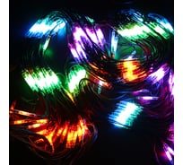 Светодиодная гирлянда NEON-NIGHT Сеть 2x3м 432 LED на черном каучуковом проводе мультиколор 217-129