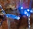Гирлянда Neon-Night Занавес 2х0.8м, 160 LED синий, прозрачный ПВХ, IP65, без блока питания 235-103 6