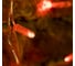 Светодиодная гирлянда NEON-NIGHT Дождь 8 режимов 2х0.8м 160 LED, прозрачный провод, Красный 235-102 3