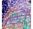 Гирлянда NEON-NIGHT Нить  10м, 100 LED RGB, прозрачный ПВХ, IP65, без комплекта подключения 245-409 7