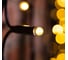Светодиодная гирлянда NEON-NIGHT Дождь постоянное свечение 2х1.5м 360 LED тёплый-белый 237-126 3