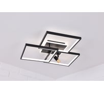 Потолочная светодиодная люстра Schaffner Controllo 2740-3, цвет черный/золото. Люстра с пультом управления, освещение до 13 кв.м, мощность 155 Вт Controllo 2740-3 BK+FGD