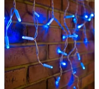 Светодиодная гирлянда NEON-NIGHT Бахрома постоянное свечение 2.4х0.6м 88LED белый 255-033