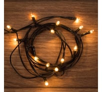 Гирлянда NEON-NIGHT Твинкл-Лайт 1.8м 20 ламп накаливания, тёплый-белый 303-112