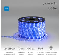 Гибкий шнур Neon-Night Дюралайт, 24 LED/м, синий, свечение с динамикой, бухта 100м 121-323-4