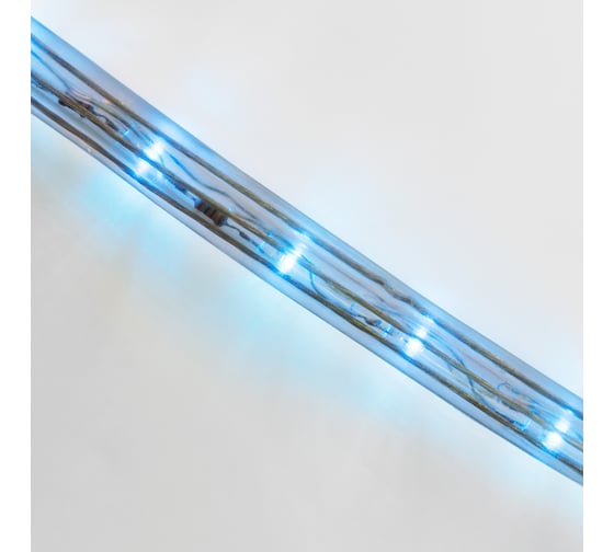 Гибкий шнур Neon-Night Дюралайт, 24 LED/м, синий, свечение с динамикой, бухта 100м 121-323-4