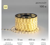 Гибкий шнур Neon-Night Дюралайт, 24 LED/м, тёплый белый, свечение с динамикой, бухта 100м 121-326-4
