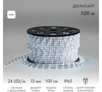 Гибкий шнур Neon-Night Дюралайт, 24 LED/м, белый, свечение с динамикой, бухта 100м 121-325-4