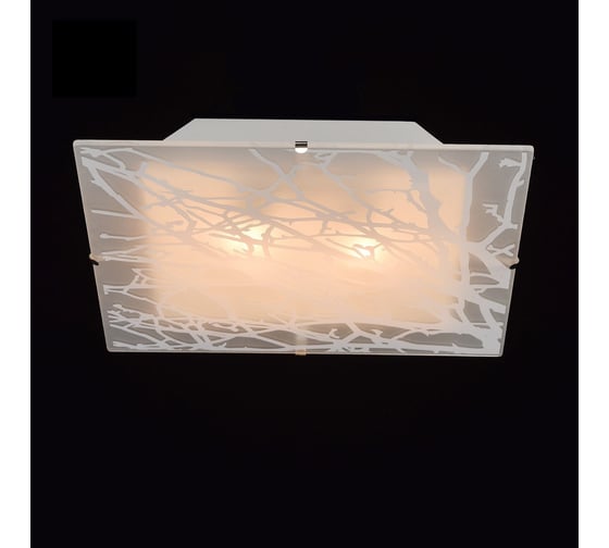 Люстра MW LIGHT 368010702 Васто 2*60W E14 220 V