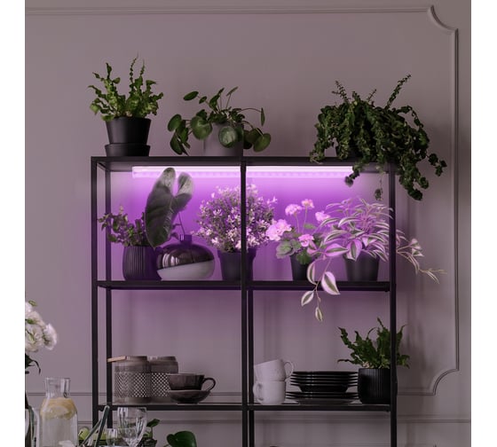 Линейный LED светильник ЭРА LLED-05-T5-FITO-14W-W ФИТО Б0028200
