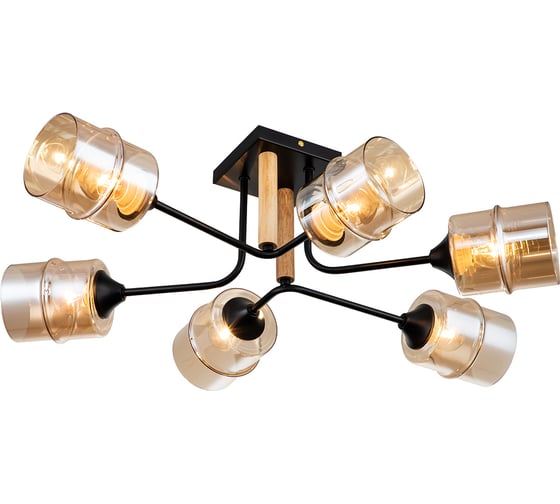 Потолочный светильник ESCADA E27*60W Black 699/6P