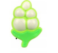 Ночник Camelion Led с выключателем NL-235 "Виноград" 13810