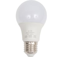 Светодиодная лампа IONICH общего назначения ILED-SMD2835-A60-14-1100-230-2.7-E27 1097 1622