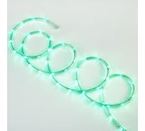 Светодиодный гирлянда Uniel ULD-D50 15M/С08 IP44 GREEN UL-00010909
