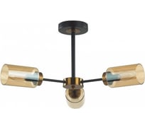Потолочная люстра LUMION E14 3*40W DALLIN 5640/3C
