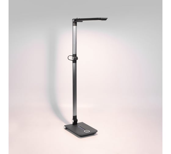 Светодиодный настольный светильник Elektrostandard great графит tl70240 a065290