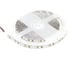 Светодиодная лента ELF 600SMD диодов 2835, 12В, 5м, белый дневной 5000-5500К ELF-600SMD2835NWdw5000 2