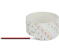 Светодиодная лента ЭРА LS28354,860124000KIP201 year5m, дневной белый, 5 м, Б0059897