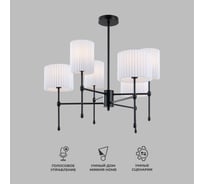 Потолочный светильник Eurosvet 60162/6 черный a065662