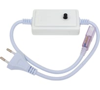 Контроллер ЭРА RGBcontroller-220-A06 для ленты на 220V, управление одной кнопкой Б0004974