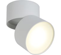 Светодиодный спот Crystal lux CLT 130CW WH