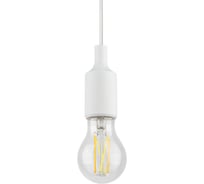 Светильник для растений ЭРА FITOHolder E27 3м с проводом и выключателем для фитоламп, с цоколем Е27 Б0061585