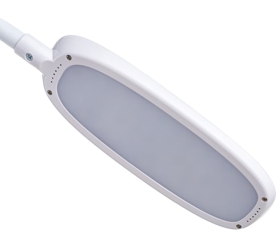 Настольный светильник ЭРА NLED-453-9W-W белый Б0019130