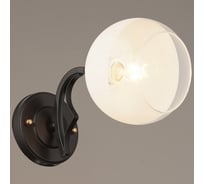 Настенный светильник ВИНКРУС BK+FGD, E27x1x60W N3664/1W