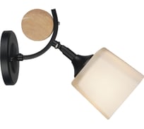 Настенный светильник ВИНКРУС BK, E27x1x60W N4217/1W