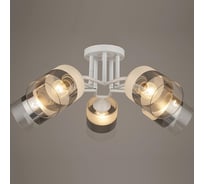 Потолочная люстра ВИНКРУС WT, E27x5x60W A3420/5