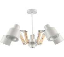 Потолочная люстра ВИНКРУС, светодиодная Matt WT+CH, LED 40W MD3533/5A