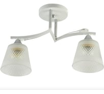 Потолочная люстра ВИНКРУС WH+CR, E27x2x60W XA1442/2