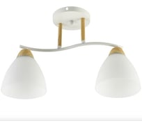 Потолочная люстра ВИНКРУС WH+WOOD, E27x2x60W XA1452B/2